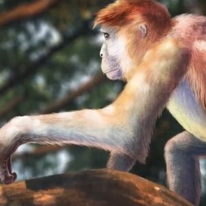 Meet your Posher, Dave